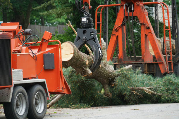 Best Storm Damage Tree Cleanup  in Myrtletown, CA